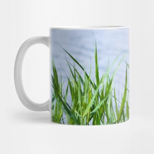 Summer lake Mug